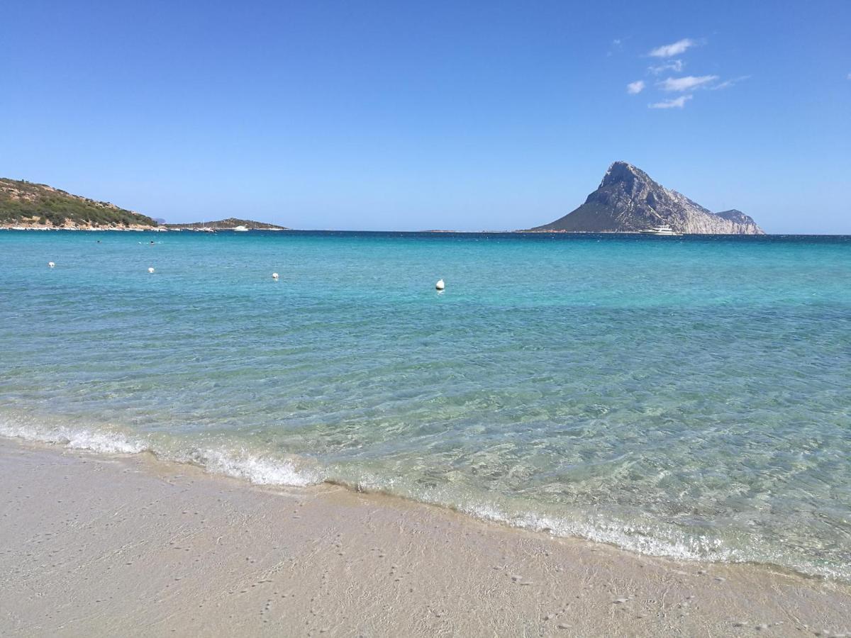 Splendida Villetta Tavolara 2 Vaccileddi Kültér fotó